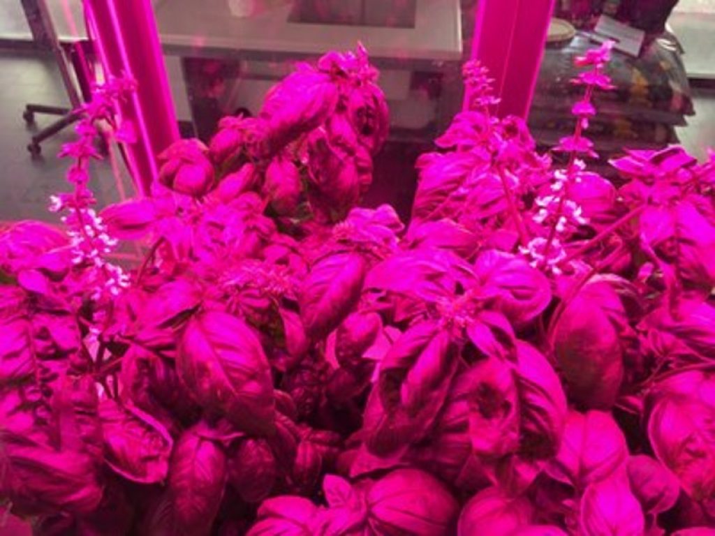 Il Microcosmo di ENEA e FOS SpA, simulatore di campo per coltivare su terra al chiuso piante anche legnose, arriva al Nord Italia