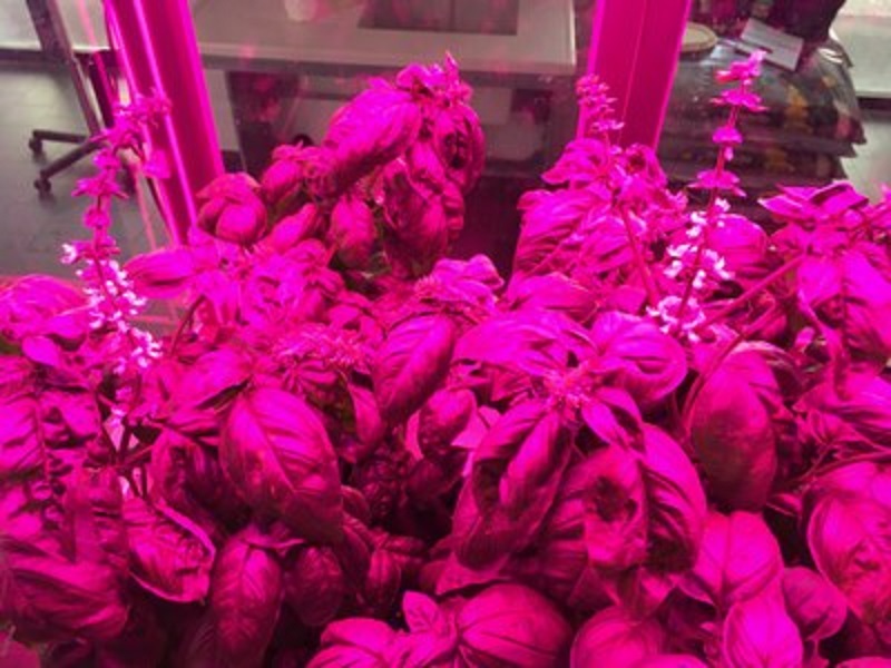 Il Microcosmo di ENEA e FOS SpA, simulatore di campo per coltivare su terra al chiuso piante anche legnose, arriva al Nord Italia