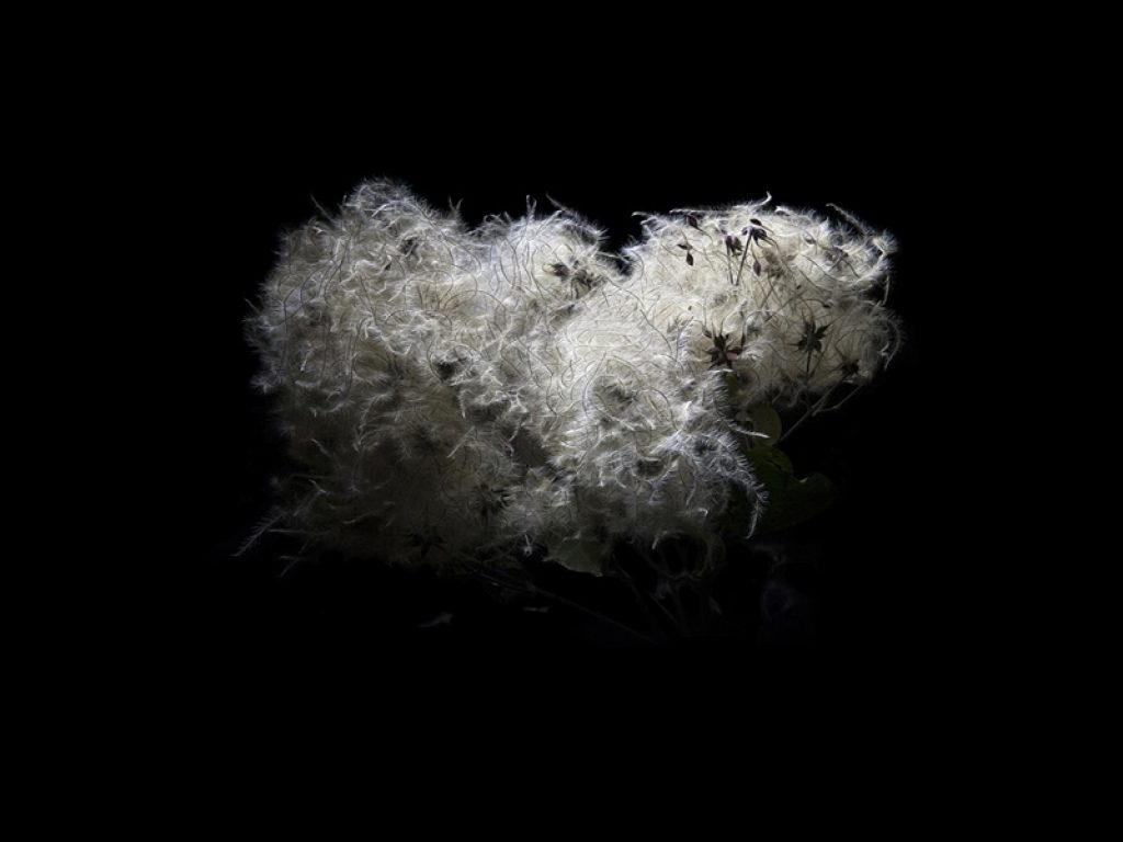 ENZO SBARRA BACK TO BLACK SENZA TITOLO FOTOGRAFIA CON TECNICA MISTA misura95x150 2018