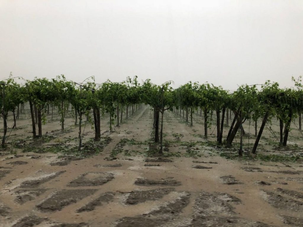 Nel 2020 in Italia una media di oltre quattro nubifragi al giorno: secondo Coldiretti sono le conseguenze più evidenti dei cambiamenti climatici