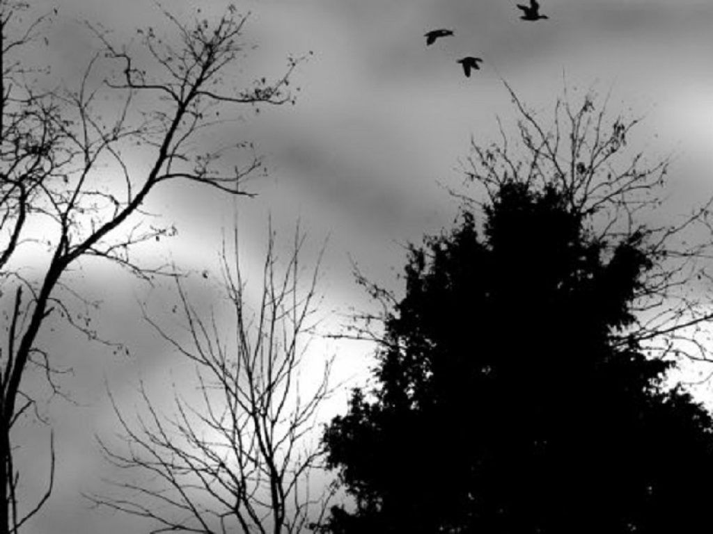 Previsioni meteo Italia