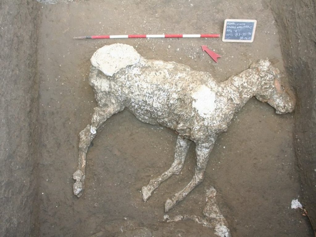 Nell'area di Pompei Civita Giuliana scoperta una villa suburbana e il primo calco di un cavallo. Operazione congiunta tra Procura, Carabinieri e Parco Archeologico di Pompei per salvare il patrimonio archeologico in pericolo