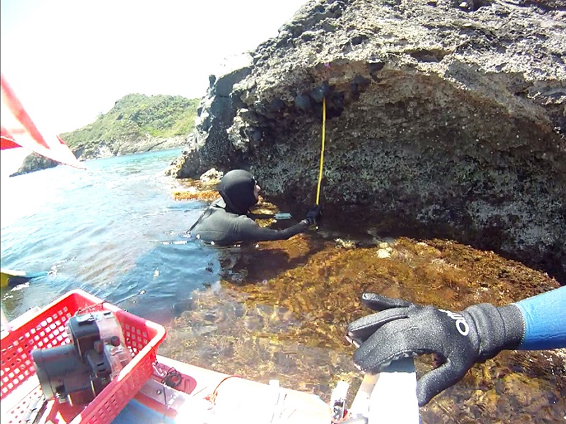 Studio ENEA/Università Trieste fa luce sui “movimenti” di Ustica causati da terremoti agli inizi del secolo scorso: indizi dal ritrovamento di fossili di crostacei