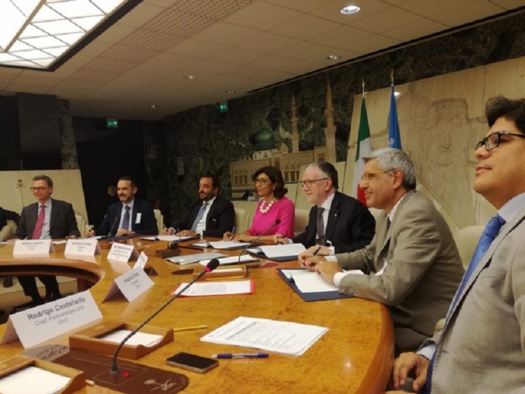 Dalla gestione del suolo alla lotta ai cambiamenti climatici: ENEA e FAO firmano accordo con CNR, CREA e ISPRA per la sostenibilità nei Paesi in via di sviluppo