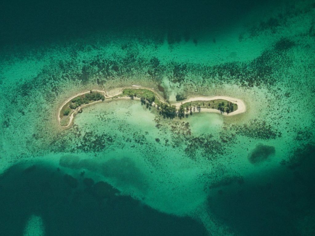 TagLab è il nuovo software gratuito creato dal Cnr-Isti che velocizza fino al 90%, la elaborazione di immagini e di dati dei fondali marini