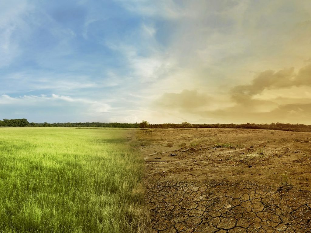 L’Italia va a processo per inazione climatica: 203 ricorrenti, tra cui 24 associazioni, accusano lo Stato di inadempienza nel contrasto all'emergenza climatica