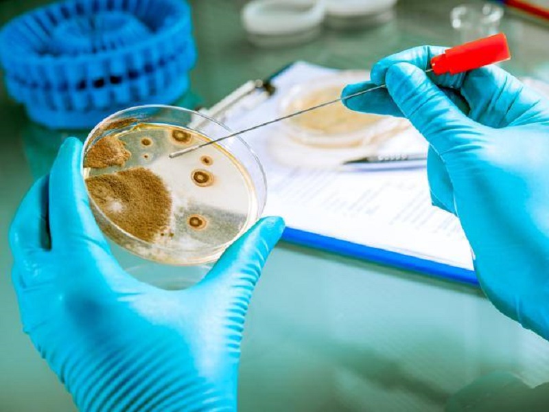 Servono nuovi antibiotici con urgenza: i super-batteri resistenti agli antibiotici uccidono ogni anno 700mila persone, 33mila in Europa e 10.000 in Italia