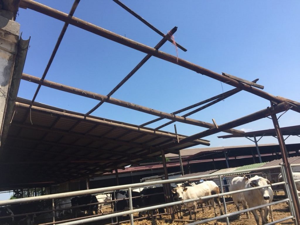 Il bilancio della Coldiretti dopo l'ondata di maltempo con una tromba d'aria e le grandinate che hanno colpito l'area a Nord-Est di Milano