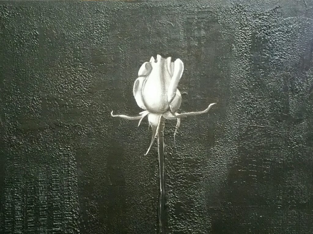 Dal 25 agosto IX edizione della Land Art al Furlo: nel Parco di Sculture dentro la Gola oltre 50 artisti si confronteranno sul tema NERO tra installazioni, video, fotografie, pitture, performance, sculture