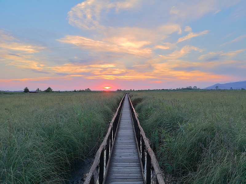 Nel periodo delle festività pasquali e nel weekend del 1° Maggio l'Oasi Lipu Massaciuccoli propone soggiorni organizzati, dedicati alla visita di alcune delle Riserve naturali del Parco