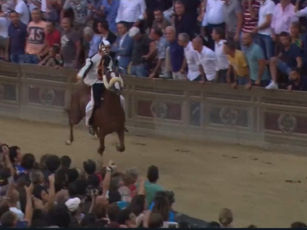 Giuseppe Zedde detto Gingillo su Porto Alabe vince il Palio di Siena del 16 agosto 2018: trionfo da outsider, la cronaca della "carriera" in Piazza del Campo