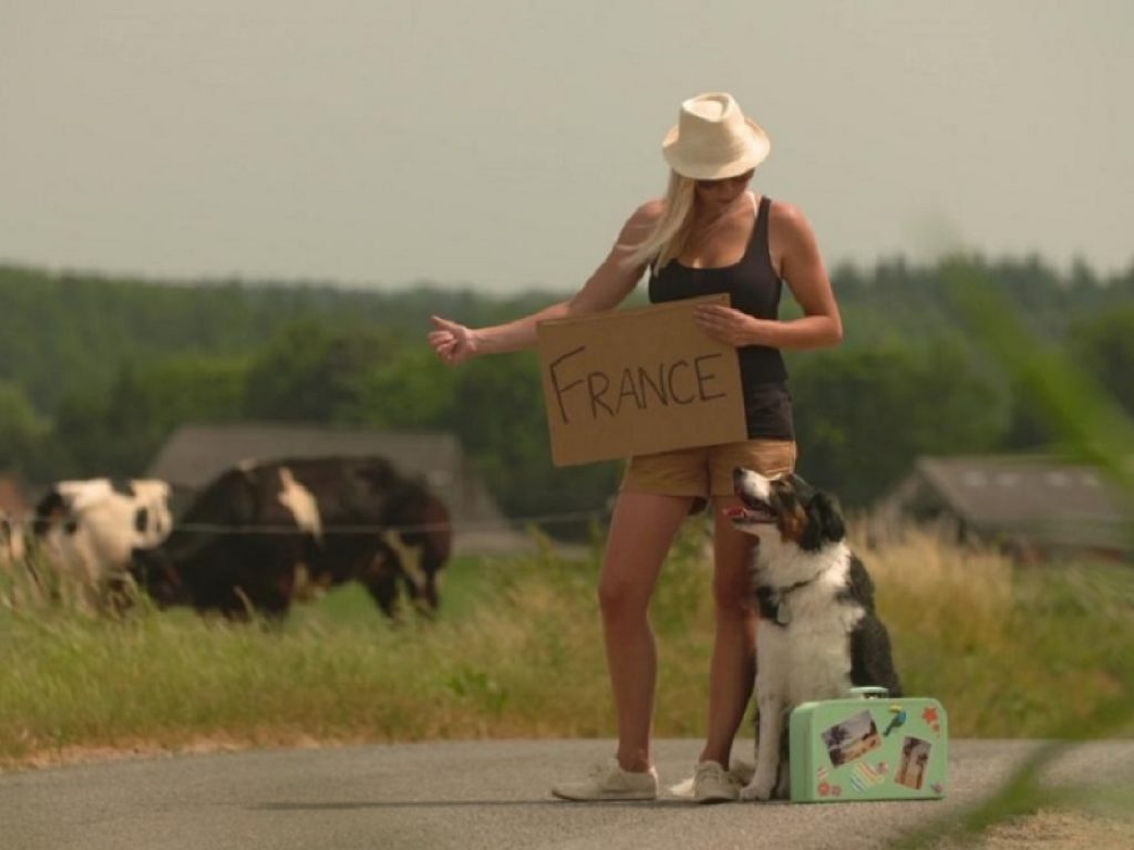 Nell’Unione Europea si può andare in vacanza con i propri animali domestici, ma ci sono regole precise da rispettare. Ecco cosa c'è da sapere prima di partire