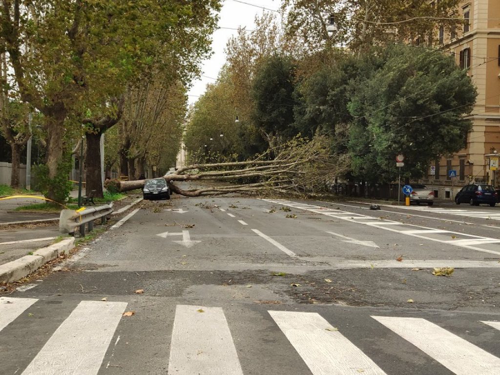 Vittime e feriti dopo l'ondata di maltempo che ha colpito l'Italia. Coldiretti: scarsa cura del verde nelle città, alberi pericolosi per ridotta e improvvisata manutenzione