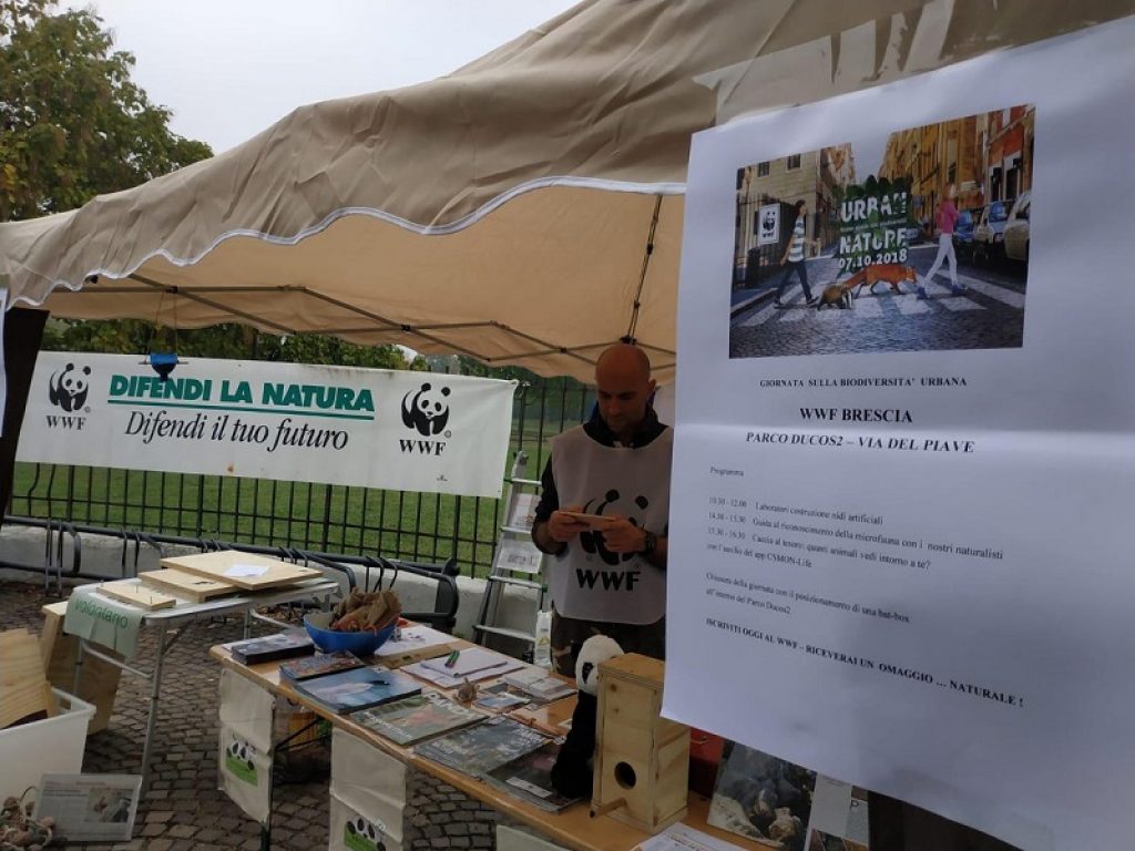 In occasione di Urban Nature pubblicato il Report del WWF “Benessere e Natura: città verdi a misura di bambino”. Per le nuove generazione non basta il deficit economico, dovranno fare i conti anche con quello ambientale