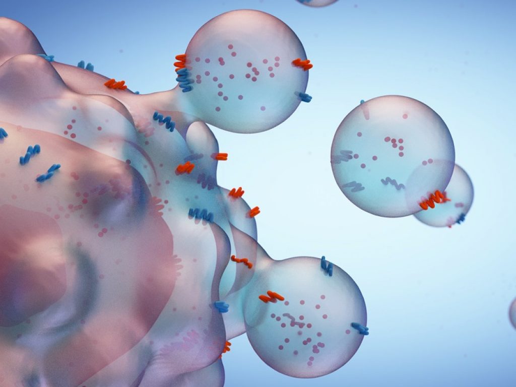 Il progetto di ricerca internazionale VES4US ha come obiettivo lo sviluppo di una piattaforma radicalmente nuova per la produzione di nanovescicole extracellulari da una fonte biologica sostenibile