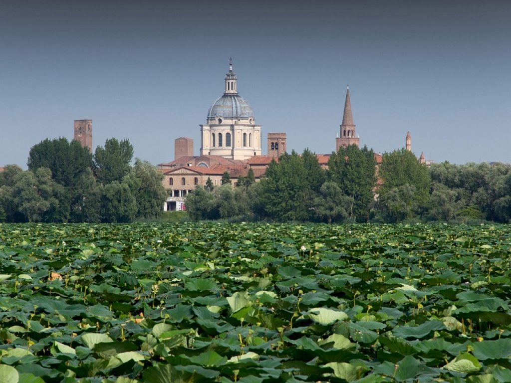 Inizia domani a Mantova, eletta per il secondo anno consecutivo città più verde d’Italia, il Primo Forum Mondiale sulle Foreste Urbane, che proseguirà fino a sabato 1 dicembre
