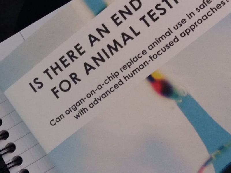 Assegnato ad Alessandro Polini, ricercatore presso il Cnr-Nanotec di Lecce, il Lush Prize 'Giovani ricercatori', riconoscimento che promuove la sperimentazione non animale