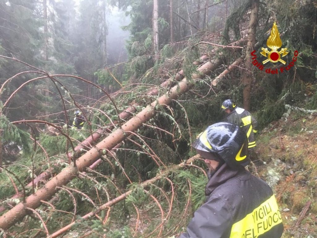 FEDERDISTAT e Consiglio Nazionale dei Geologi: ruolo dei geologi indispensabile per il Corpo Nazionale dei Vigili del fuoco