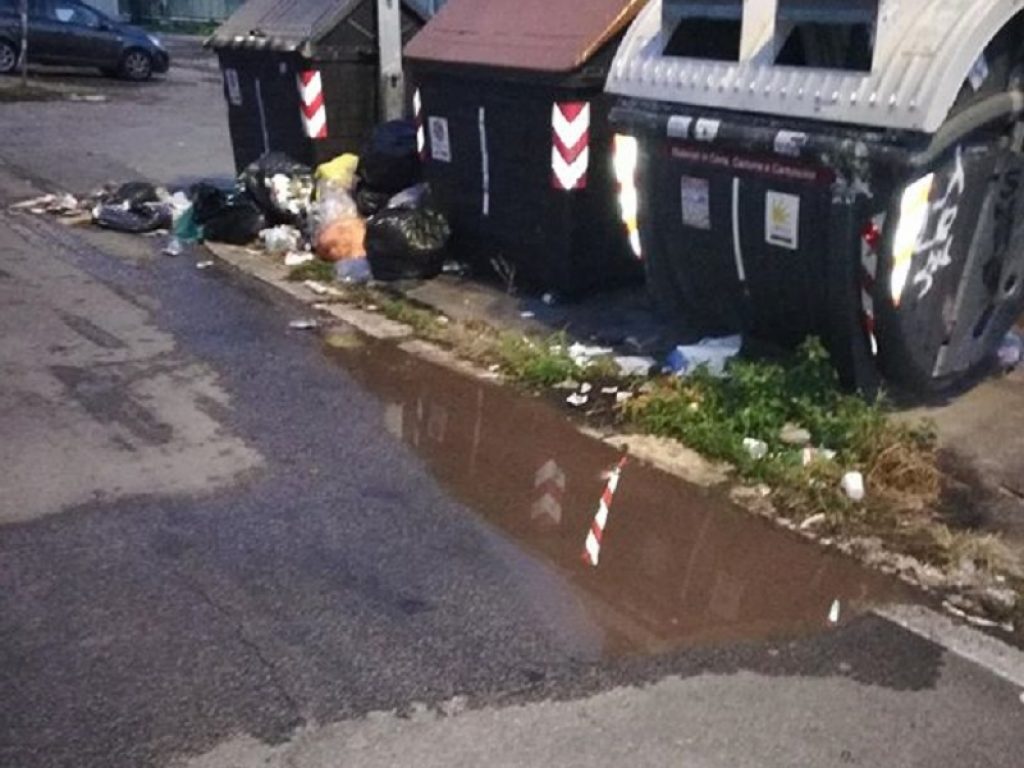 Gruppi Ricerca Ecologica Lazio: documentato lo sversamento di percolato da mezzi AMA, dagli autocompattatori rischi ambientali e disagi
