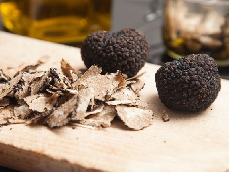 Unesco, l'annuncio della la sottosegretaria alla Cultura Borgonzoni: "Cerca e cavatura del tartufo riconosciuta patrimonio dell’umanità"