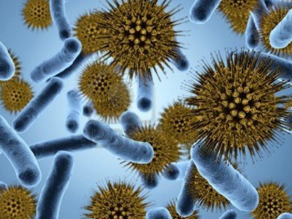 CRISPR contro la resistenza agli antimicrobici: trasformare un sistema che origina dai batteri in uno strumento contro loro stessi, e non solo