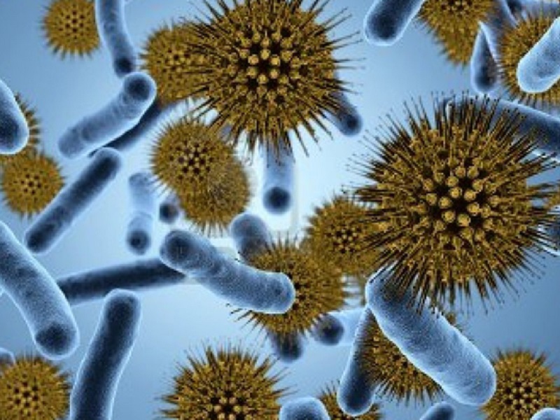 CRISPR contro la resistenza agli antimicrobici: trasformare un sistema che origina dai batteri in uno strumento contro loro stessi, e non solo