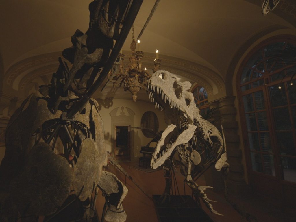 L’estinzione dei dinosauri, 66 milioni di anni fa, fu causata dall’alterazione del clima terrestre innescata dalla caduta di un asteroide di circa 10 km di diametro: nessuna influenza da un'eruzione vulcanica dei Trappi del Deccan