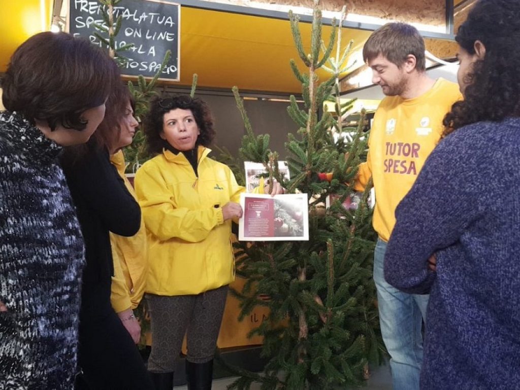 Nei mercati di Campagna Amica da domani e per tutto il weekend in vendita gli alberi provenienti dai boschi del Nord-Est distrutti dal maltempo