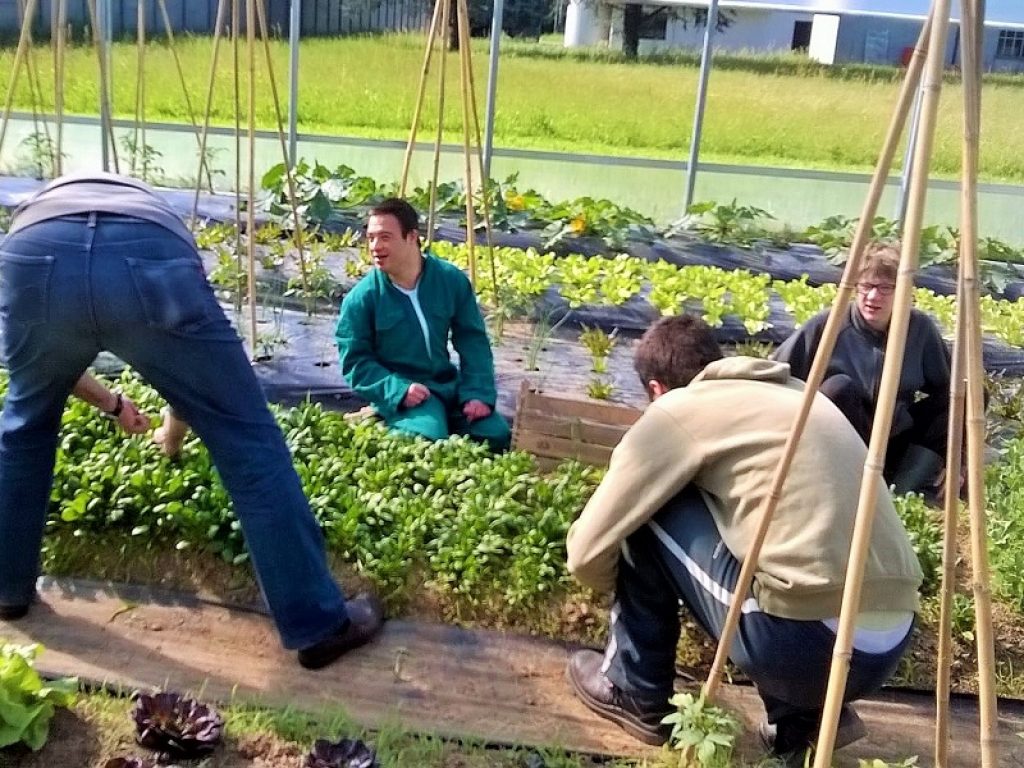 Protagonisti dei cesti natalizi della rete Agricoltura Sociale Lombardia sono i prodotti biologici, genuini e a chilometro zero derivanti da attività di inclusione lavorativa e sociale che coinvolgono persone con svantaggio