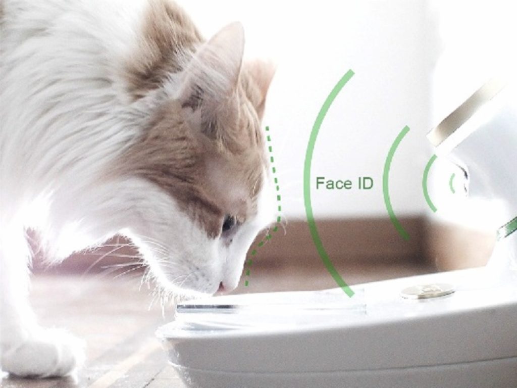 La firma italiana di Intelligenza Artificiale si aggiudica il prestigioso premio con Mookkie, la ciotola che riconosce visualmente il proprio gatto o il proprio cane