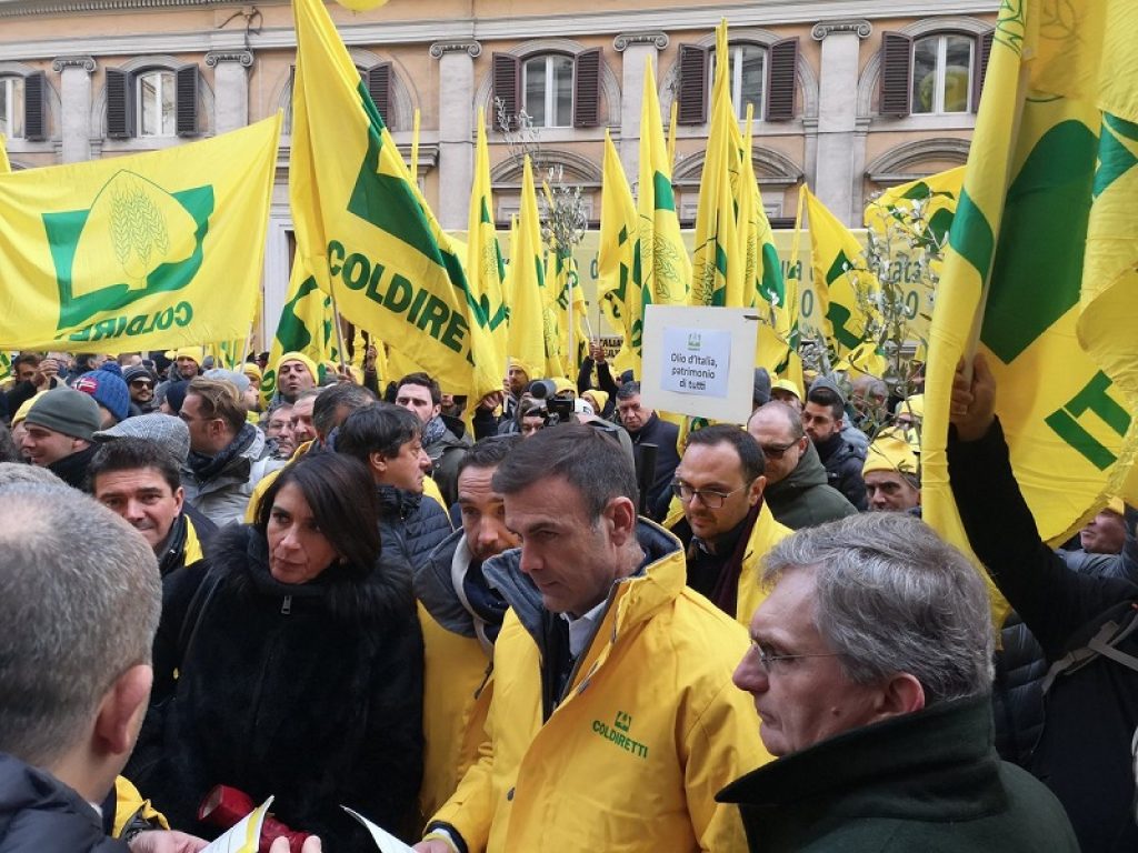 Centinaia di agricoltori della Coldiretti manifestano a Roma per salvare l'olio italiano minacciato su più fronti