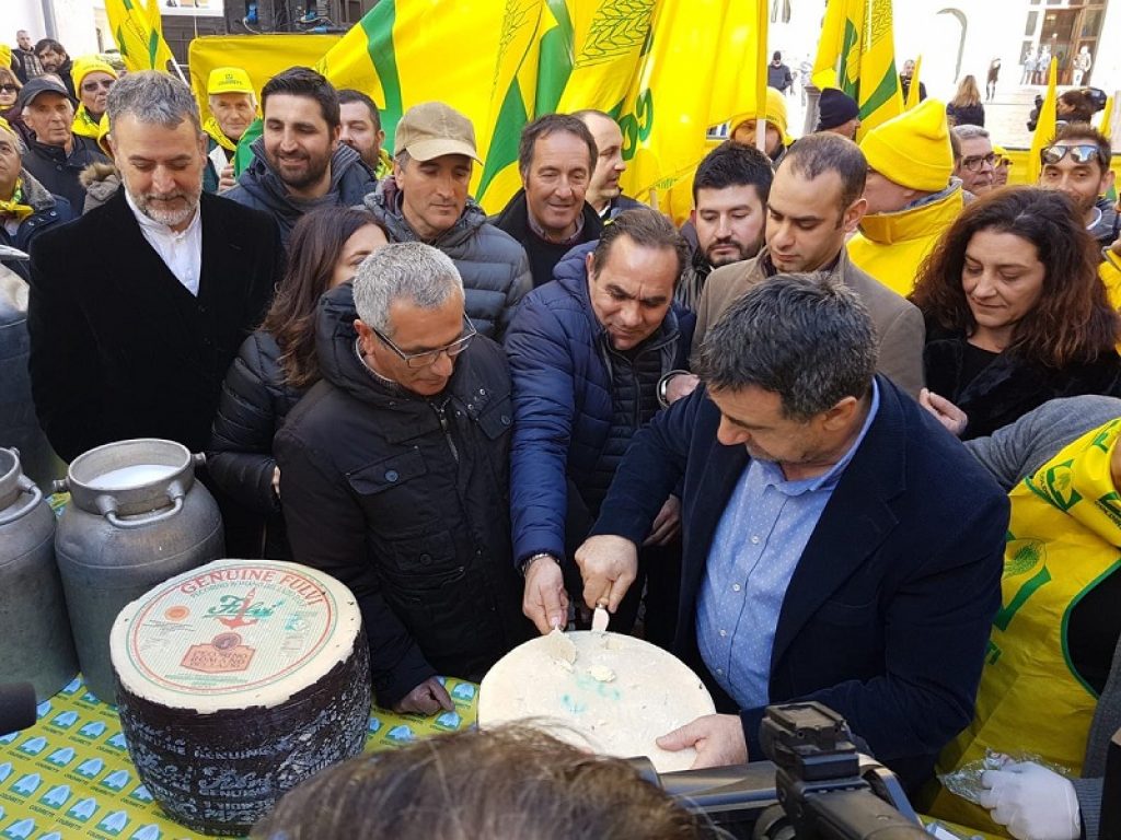 La solidarietà dei consumatori italiani ai pastori sardi che continuano la protesta per il prezzo del latte ovino. Secondo Coldiretti +10% di acquisti di pecorino