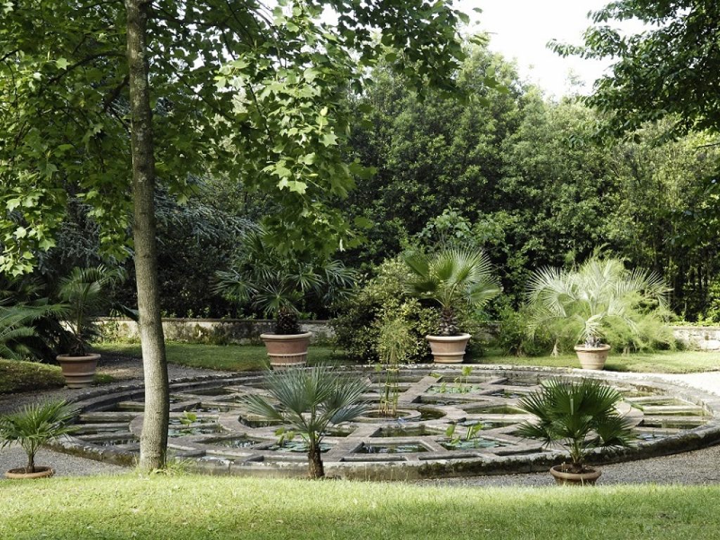 La proroga del bonus verde nella manovra aiuta il florovivaismo e l'occupazione secondo Coldiretti: come funziona la detrazione ai fini Irpef delle spese