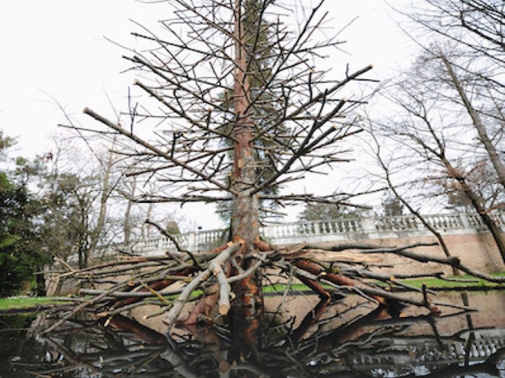 Michele De Lucchi: Radici al vento, testa nella terra. Ph Carlo Calore