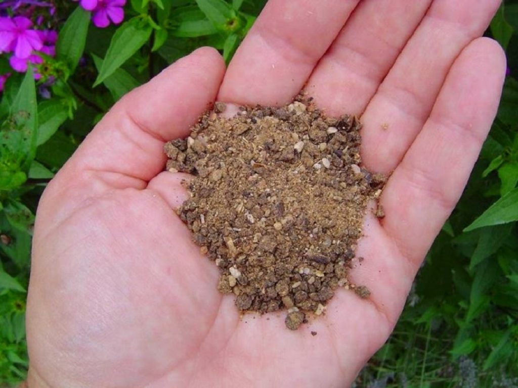 Lanciata oggi la Piattaforma Nazionale del Fosforo, promossa dal Ministero dell’Ambiente con ENEA nel ruolo di gestore. L’obiettivo è di raggiungere l’autosufficienza negli approvvigionamenti di questa materia prima strategica per la quale il nostro Paese è quasi totalmente dipendente dalle importazioni