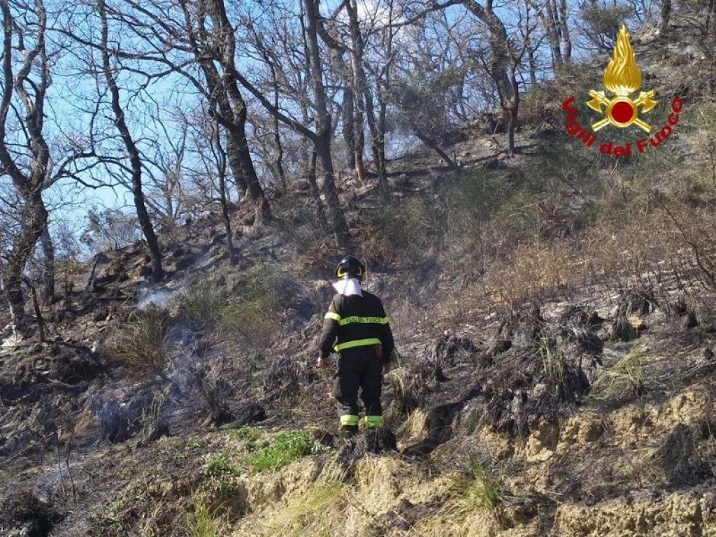 Cambiamenti climatici e incendi boschivi in Italia: come sono connessi nel rapporto di Greenpeace "Un Paese che brucia"