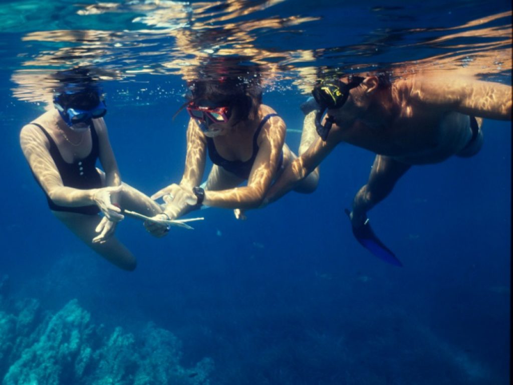 Nasce WWF SUB - Save UnderWater Biodiversity per difendere l’ambiente acquatico e la sua biodiversità, informare correttamente la comunità dei subacquei e diffondere buone pratiche da adottare durante le immersioni