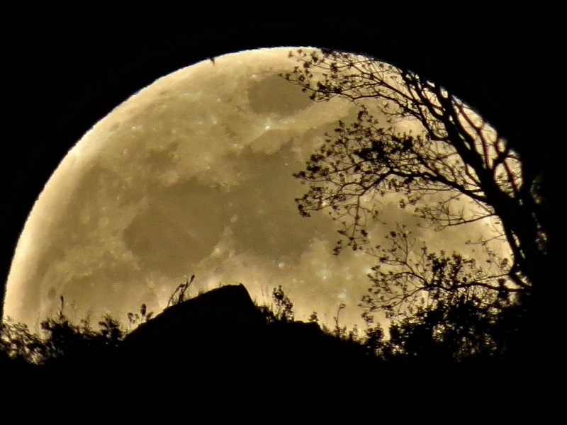 Due studi scoprono che l’acqua sulla Luna è più comune di quanto si pensasse. Potrebbero esserci anche sacche di ghiaccio sulla sua superficie