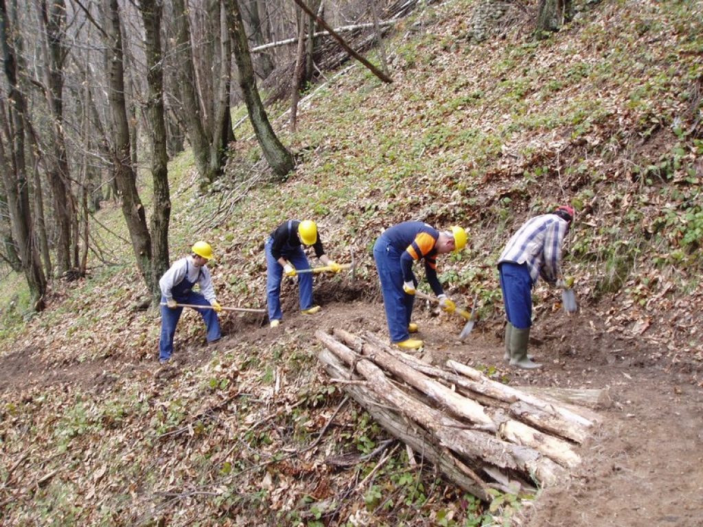 Il comune di Piaggine, nel Cilento, aderisce al progetto della biomattonella con prodotti del sottobosco e scarti agricoli della Service Biontech
