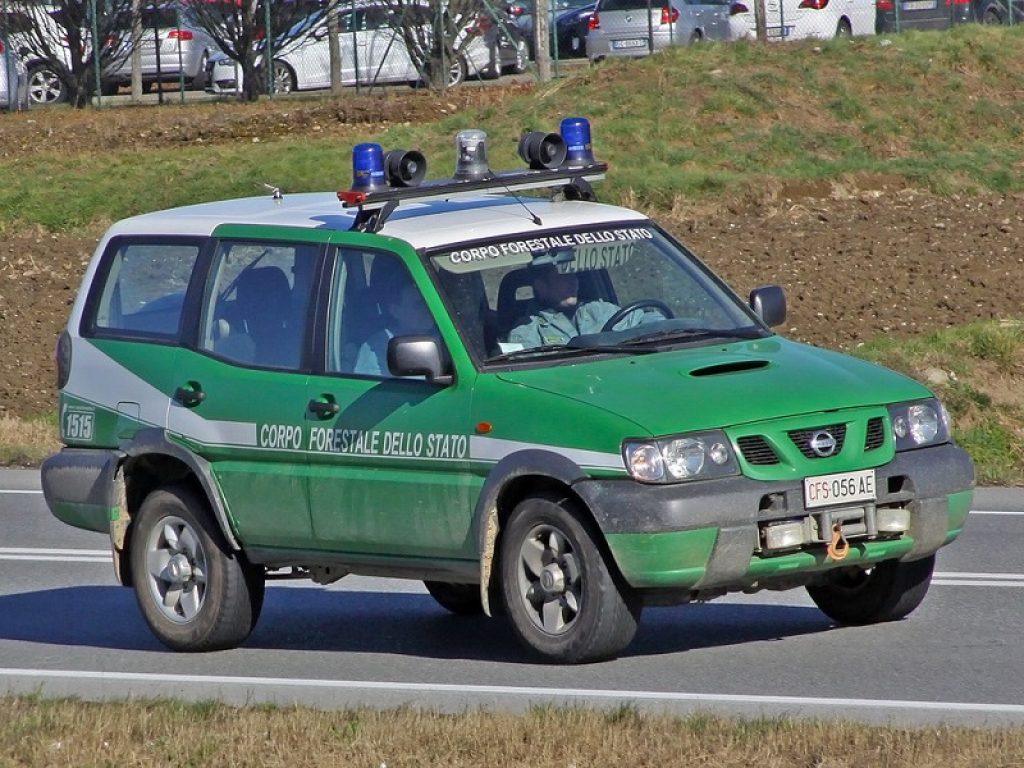 Il progetto di legge sulla ricostituzione della Forestale (A.C. n.1610) verrà esaminato dalle Commissioni: si va verso il ritorno del Corpo