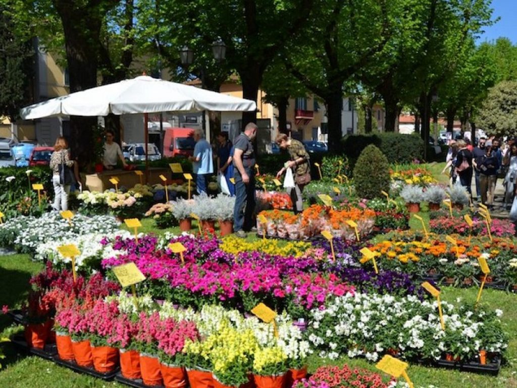 Fiorinfiera a Borgo San Lorenzo