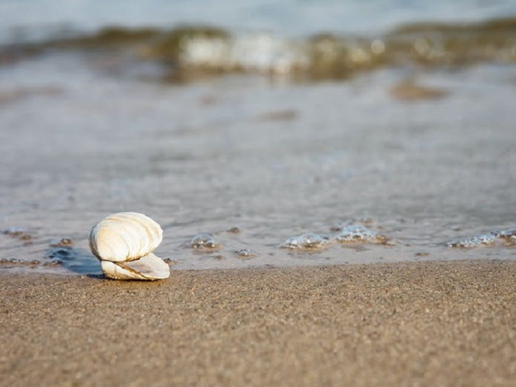 Dal progetto B-Blue, finanziato dal programma internazionale Interreg MED, nuove opportunità per l'economia circolare e la crescita blu