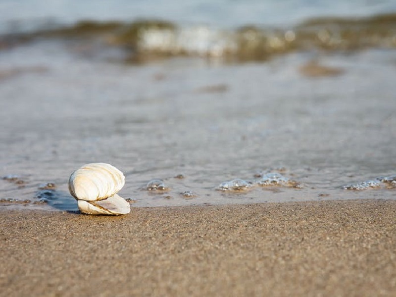 Dal progetto B-Blue, finanziato dal programma internazionale Interreg MED, nuove opportunità per l'economia circolare e la crescita blu