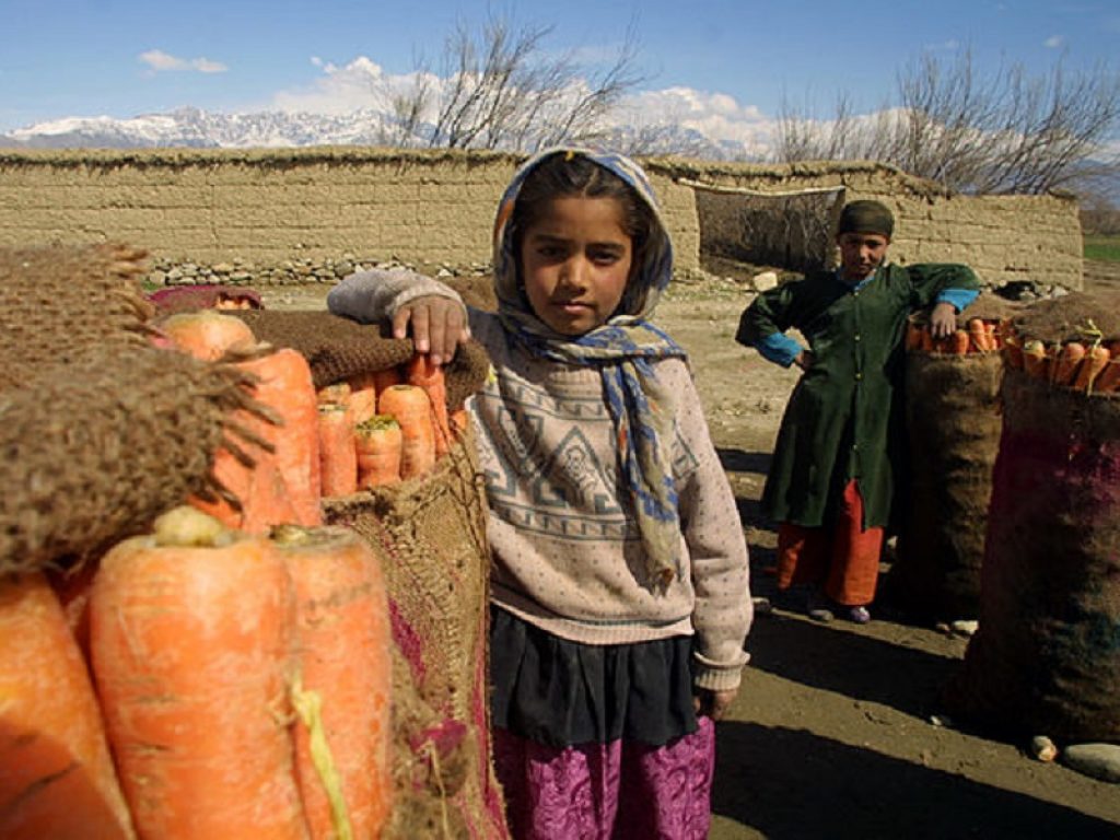 UNICEF: in Afghanistan 2 milioni di bambini sotto i 5 anni soffrono di malnutrizione acuta, fra cui 600.000 di malnutrizione acuta grave