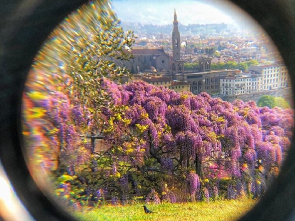 Riapre il giardino di Villa Bardini: ogni sabato e domenica merenda gratis per i bambini e la bandiera dell'Italia proiettata sulla facciata