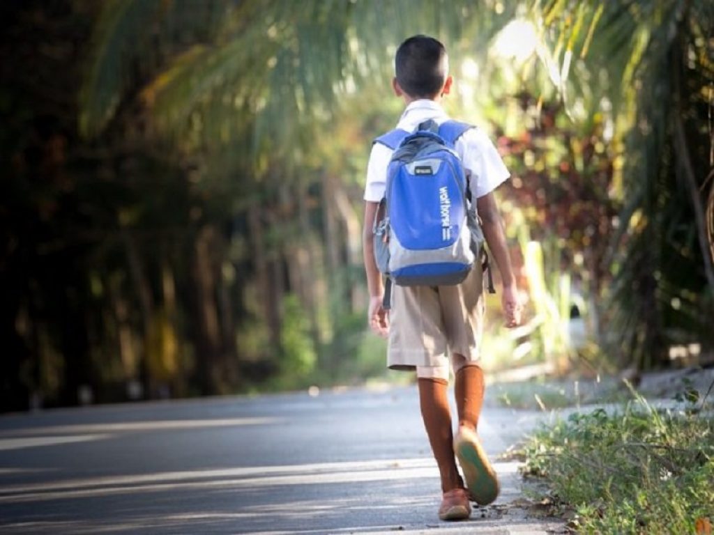 Scuola primaria, un'Ordinanza che prevede il giudizio descrittivo al posto dei voti numerici. Inviata alle scuole insieme ad apposite Linee guida