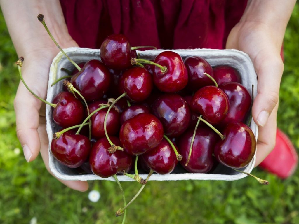 Primavera insolitamente piovosa, Coldiretti lancia l'allarme per la produzione nelle campagne: dalle nespole ai cocomeri un frutto su quattro è a rischio