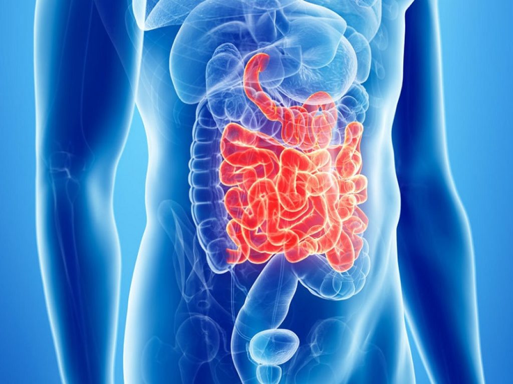 Cambiamenti nel muco intestinale possono esacerbare i sintomi di base di autismo, malattia di Parkinson, Alzheimer e sclerosi multipla.