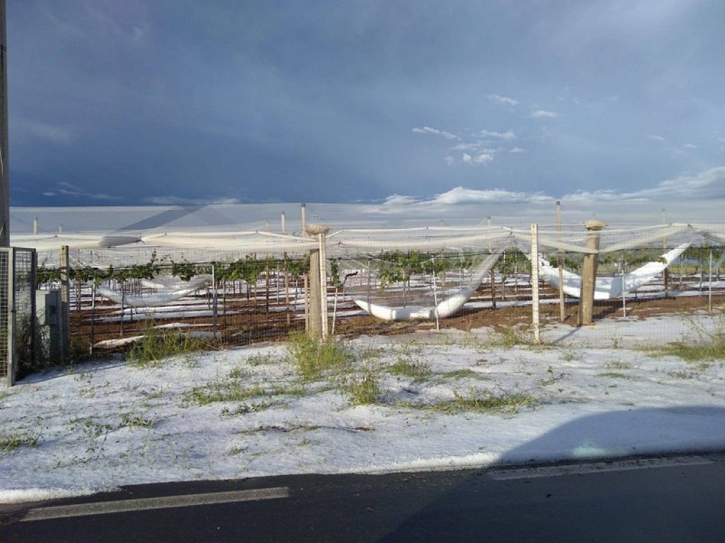 Il bilancio della Coldiretti dopo l'ultima ondata di maltempo che ha colpito l'Italia da Nord a Sud: oltre 10 milioni di euro di danni nelle campagne