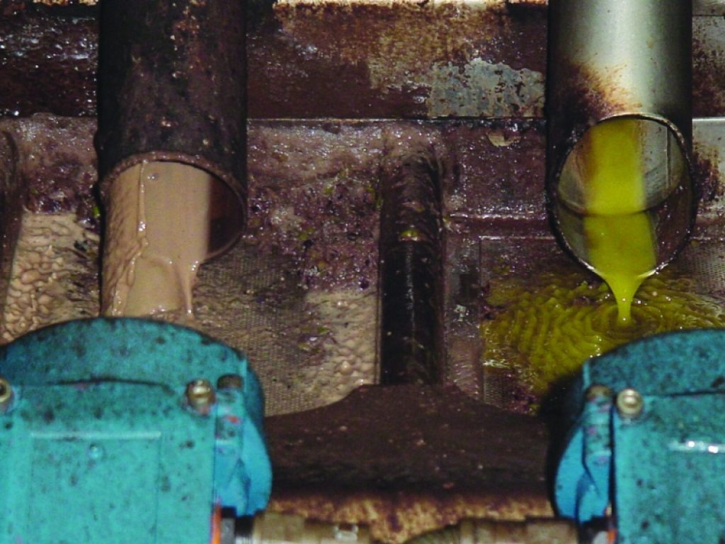 ENEA ha brevettato una tecnologia per produrre idrogeno e metano dalle acque reflue dei frantoi: è stata selezionata per “InnovAgorà’’ a Milano dal 6 all’8 maggio